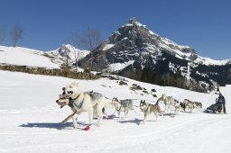 Kandersteg 2011