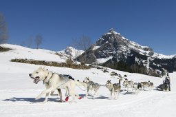 Kandersteg 2011