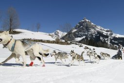 Kandersteg 2011