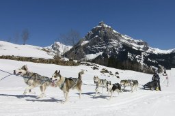 Kandersteg 2011