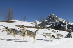 Kandersteg 2011