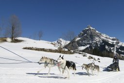 Kandersteg 2011