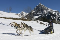 Kandersteg 2011