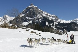 Kandersteg 2011