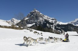 Kandersteg 2011