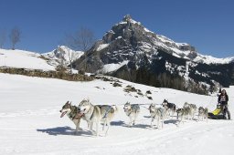 Kandersteg 2011