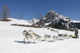 Kandersteg 2011