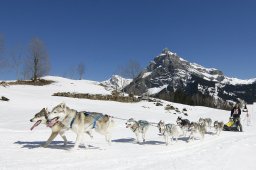 Kandersteg 2011