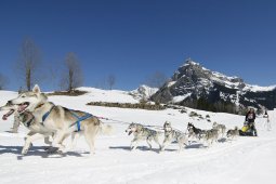 Kandersteg 2011