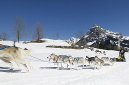 Kandersteg 2011