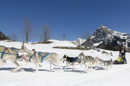 Kandersteg 2011