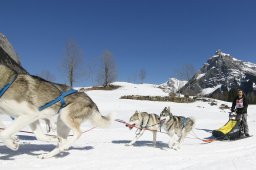 Kandersteg 2011