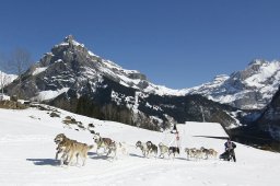 Kandersteg 2011