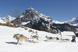 Kandersteg 2011