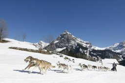 Kandersteg 2011