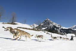 Kandersteg 2011