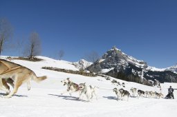 Kandersteg 2011