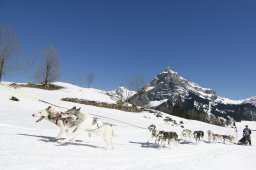 Kandersteg 2011