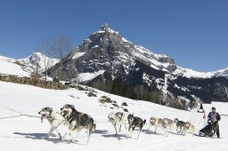 Kandersteg 2011