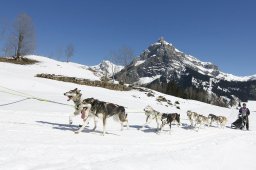 Kandersteg 2011