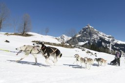 Kandersteg 2011