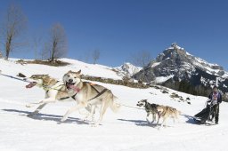 Kandersteg 2011