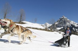 Kandersteg 2011