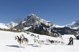 Kandersteg 2011