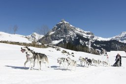 Kandersteg 2011