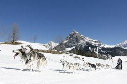 Kandersteg 2011