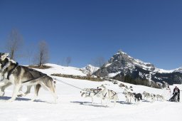 Kandersteg 2011