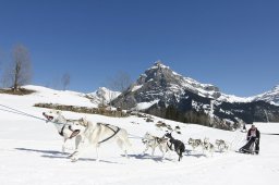 Kandersteg 2011