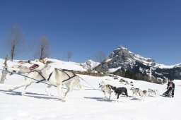 Kandersteg 2011