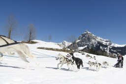 Kandersteg 2011