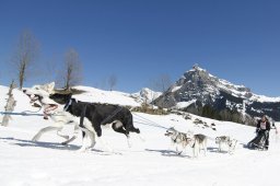 Kandersteg 2011