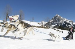 Kandersteg 2011