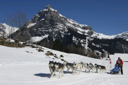 Kandersteg 2011