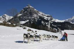 Kandersteg 2011