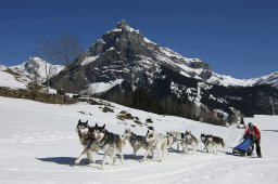 Kandersteg 2011