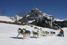 Kandersteg 2011