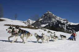 Kandersteg 2011