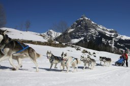 Kandersteg 2011