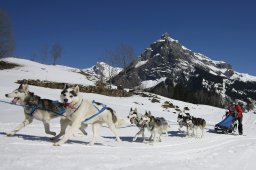 Kandersteg 2011