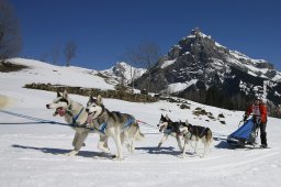 Kandersteg 2011