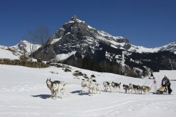 Kandersteg 2011