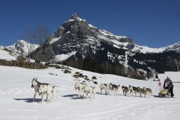 Kandersteg 2011