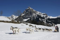 Kandersteg 2011