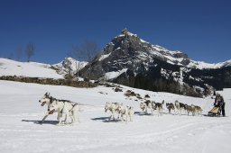 Kandersteg 2011