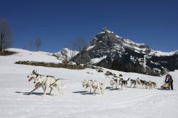 Kandersteg 2011