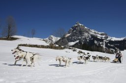 Kandersteg 2011